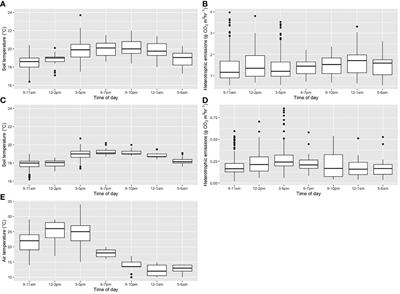 Temporal Variability in Heterotrophic Carbon Dioxide Emissions From A Drained Tropical Peatland in Uganda